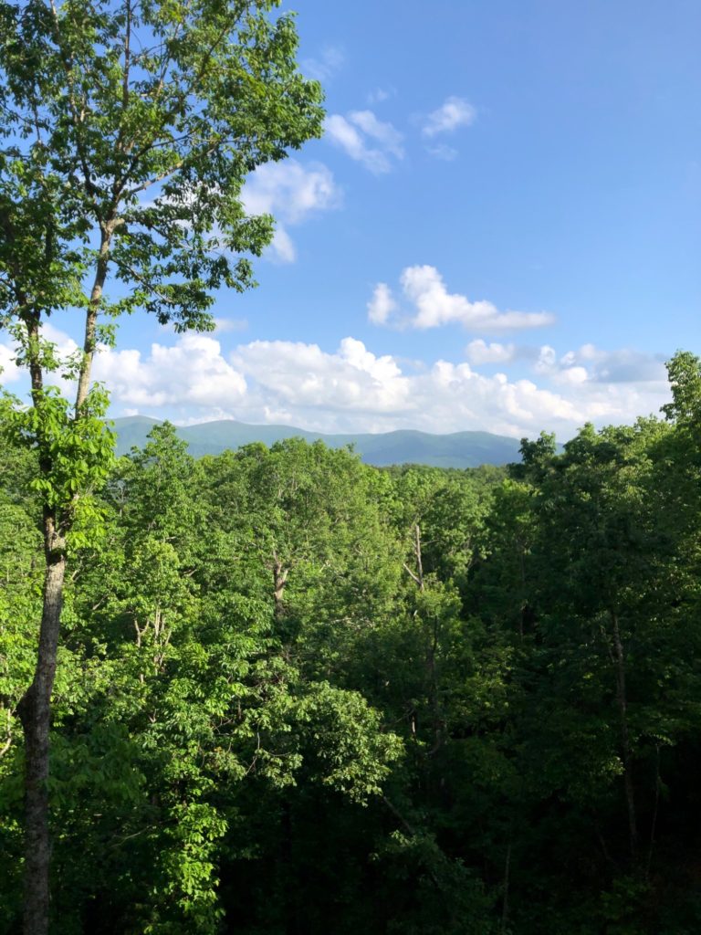 North Georgia mountains, blue ridge Georgia, mountains 