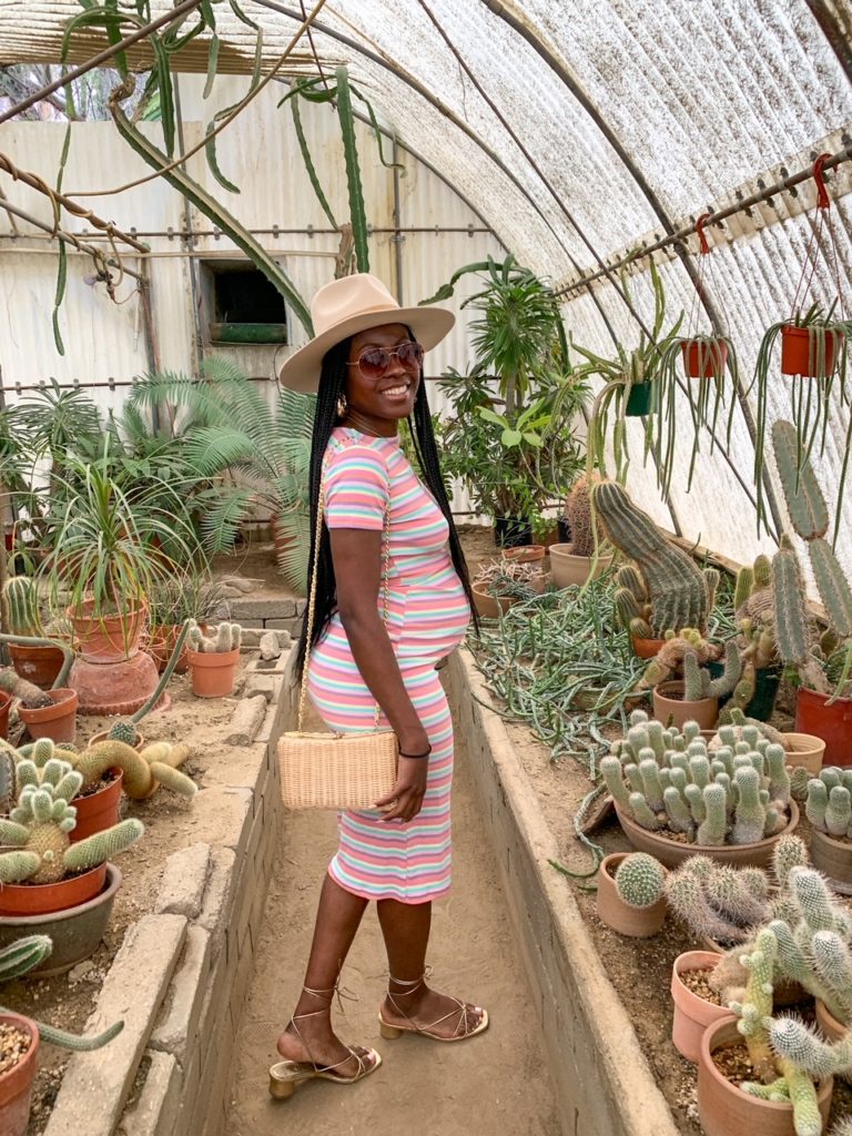 Palm Springs, girl trip, black girls travel, pool house, pregancy announcement, birthday trip, hiking, Arieltram, tramway, pool party, bbq party