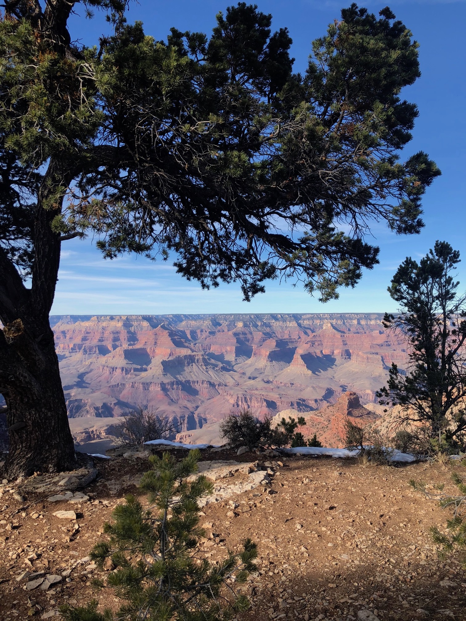 A Family Getaway to: Flagstaff, Arizona + Grand Canyon with Kids